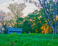 Sunset Shed