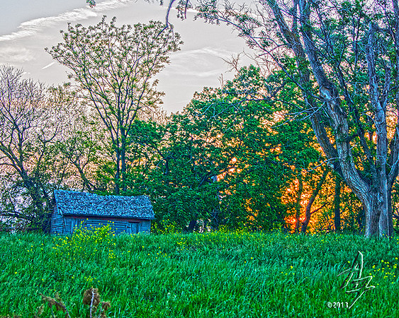 Sunset Shed