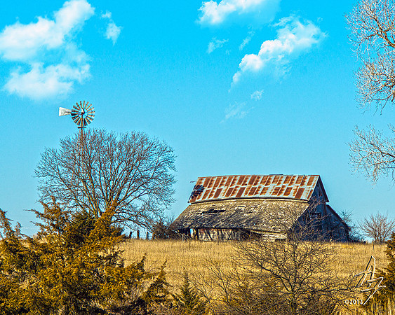 Barn 007