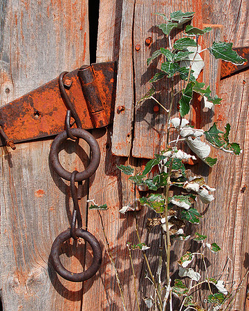 hinge