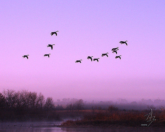 foggy landing