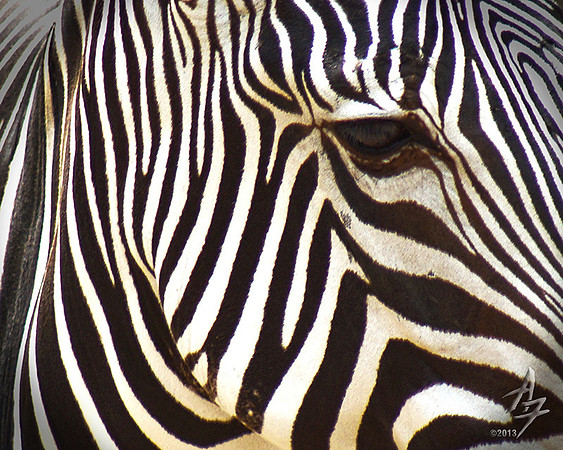 Stripes