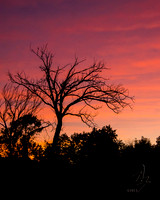 Sunset 004