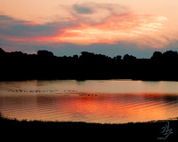 On The Pond