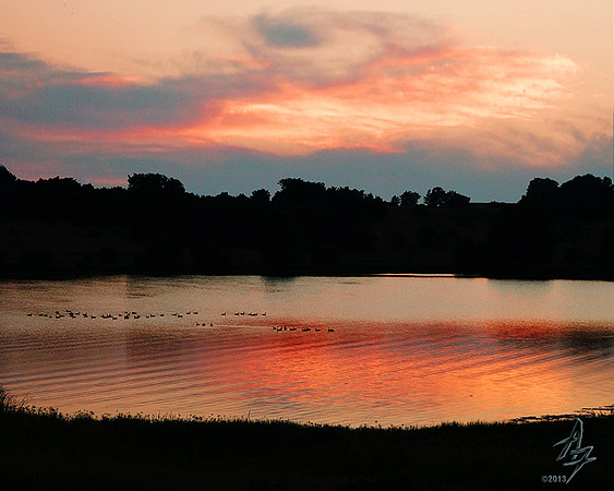 On The Pond