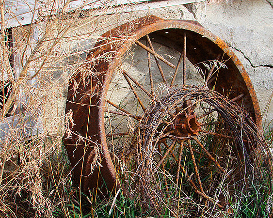 rim and wire