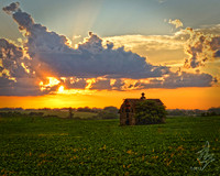 Barn 006