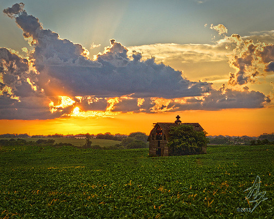 Barn 006
