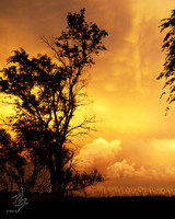 Departing Storm