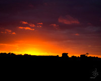 harvest sunset