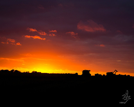 harvest sunset