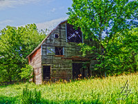 Barn 005