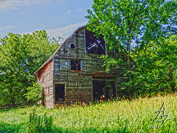Barn 005