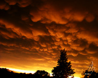 orange mammatus