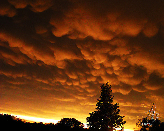 orange mammatus