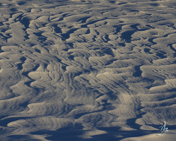 snowscape