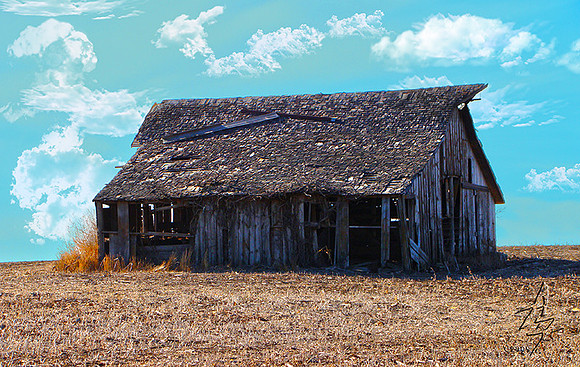 Barn 002