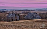 Barn 003