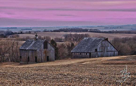Barn 003
